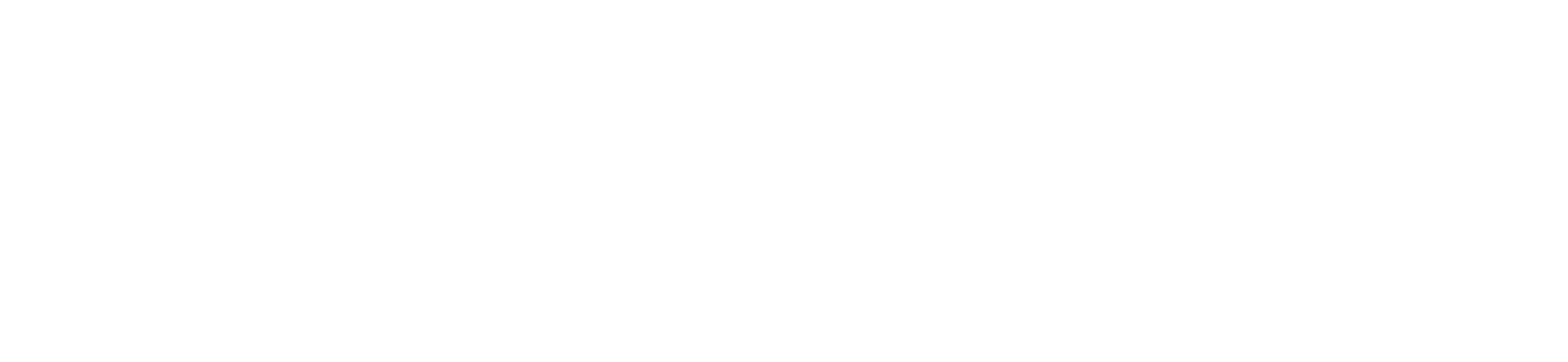 ONG TRANSFIGURATION