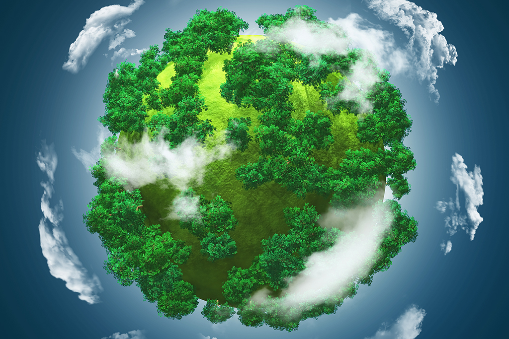 ENVIRONNEMENT 